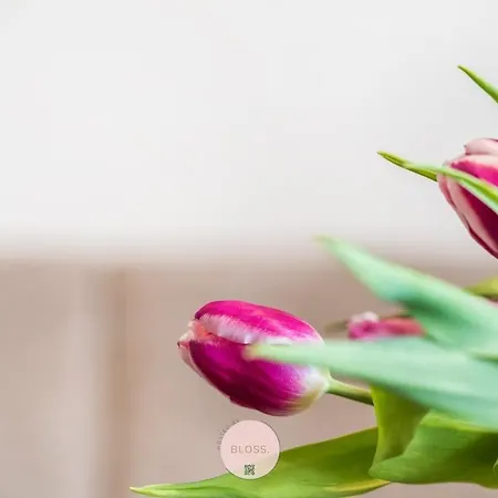 아파트 Casa Tropezina *